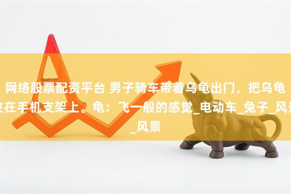 网络股票配资平台 男子骑车带着乌龟出门，把乌龟夹在手机支架上。龟：飞一般的感觉_电动车_兔子_风景