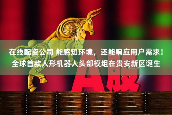 在线配资公司 能感知环境，还能响应用户需求！全球首款人形机器人头部模组在贵安新区诞生